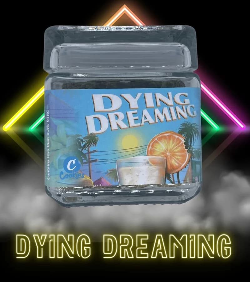 Dying Dreaming